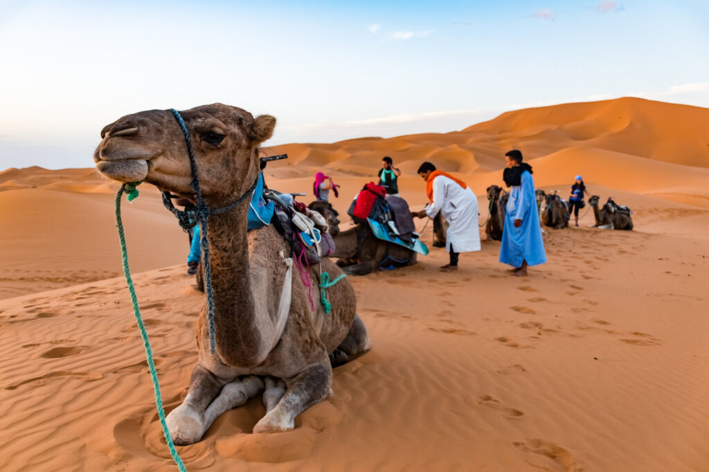 Merzouga – poczuj klimat prawdziwej pustyni