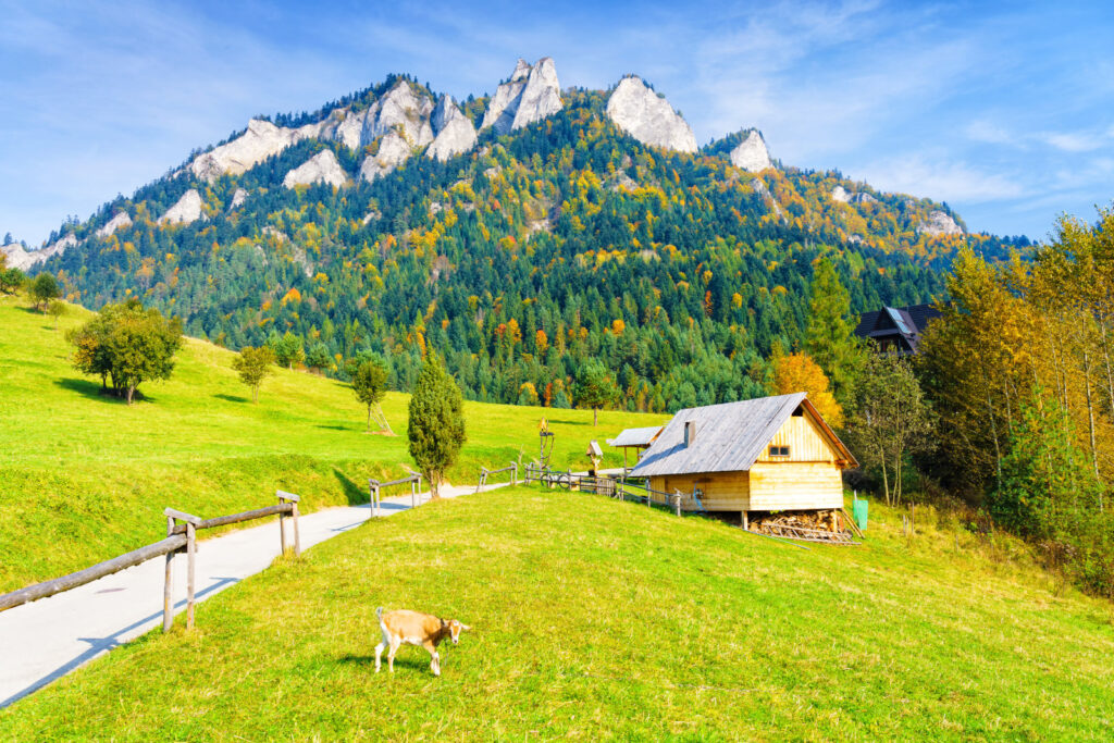 Malownicze Pieniny, spływ Dunajcem i inne atrakcje