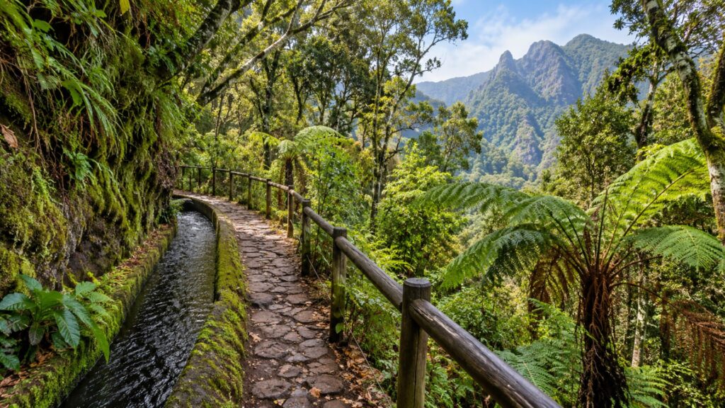 Ribeiro Frio – początek spaceru PR11